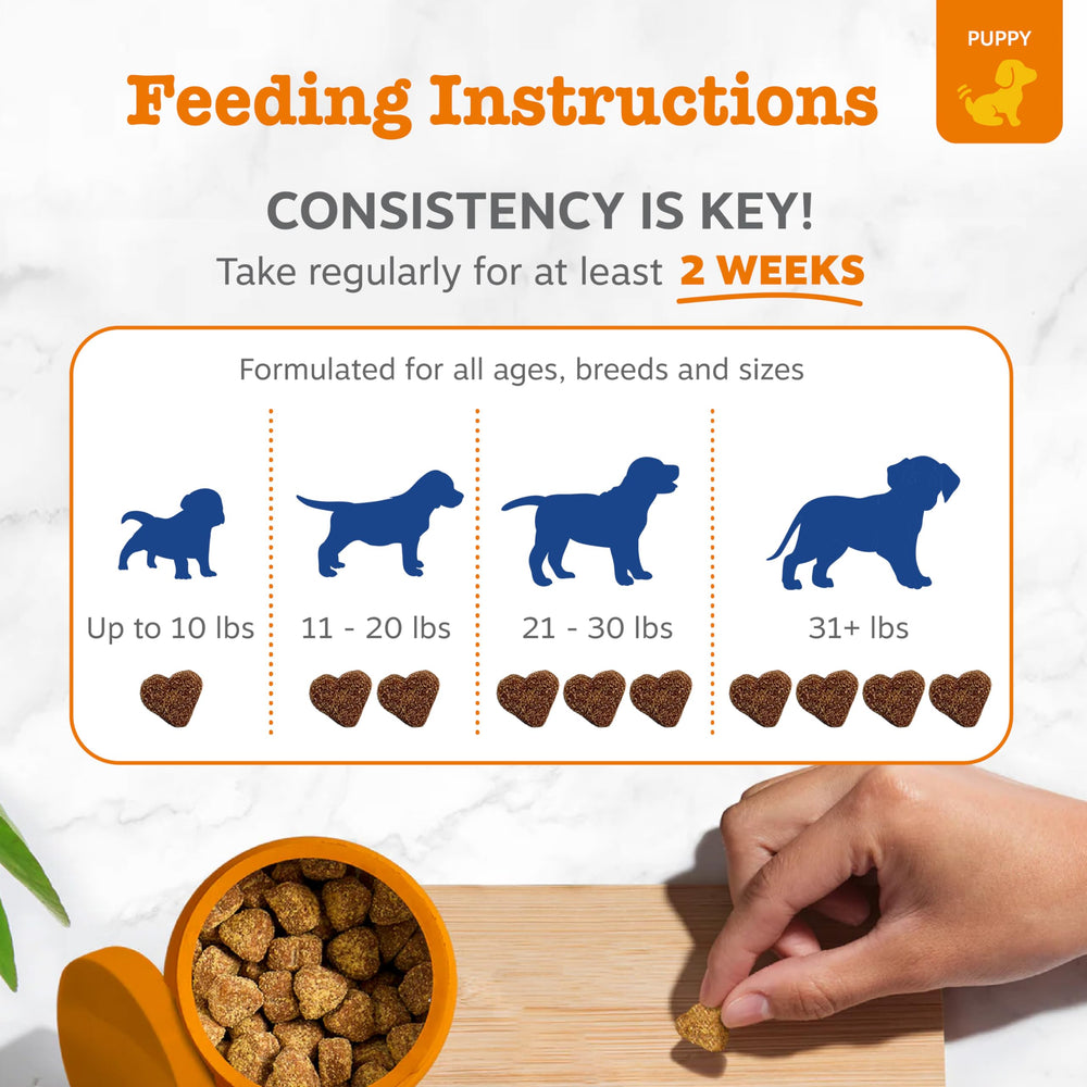 Zesty Paws ingredientes principales en primer plano resaltando nutrientes