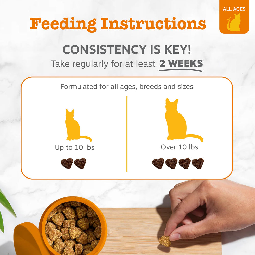 Zesty Paws etiqueta con ingredientes clave como Suntheanine y melatonina, apoyo conductual
