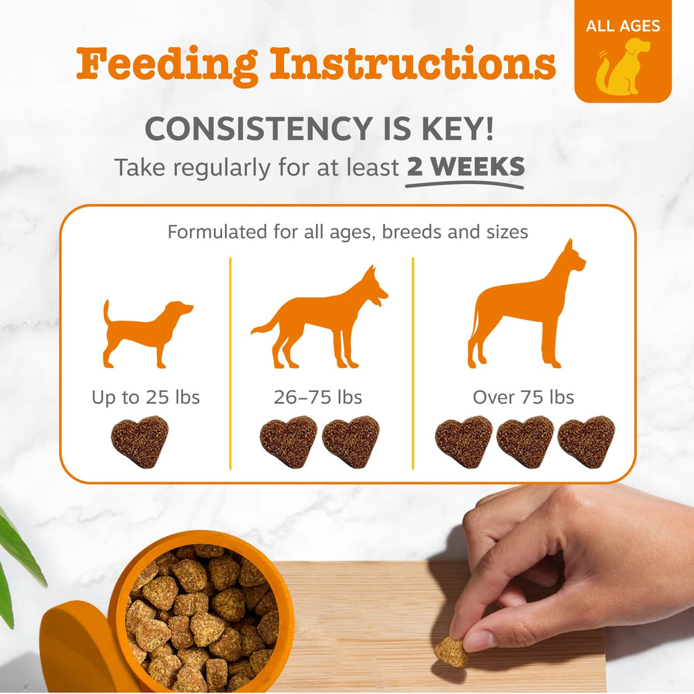 Zesty Paws granos ancestrales (quinoa, mijo) como prebióticos naturales