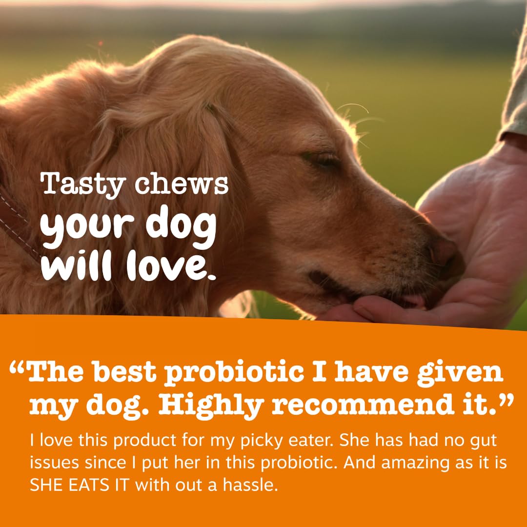 Zesty Paws etiqueta con ingredientes y cepas probióticas destacadas