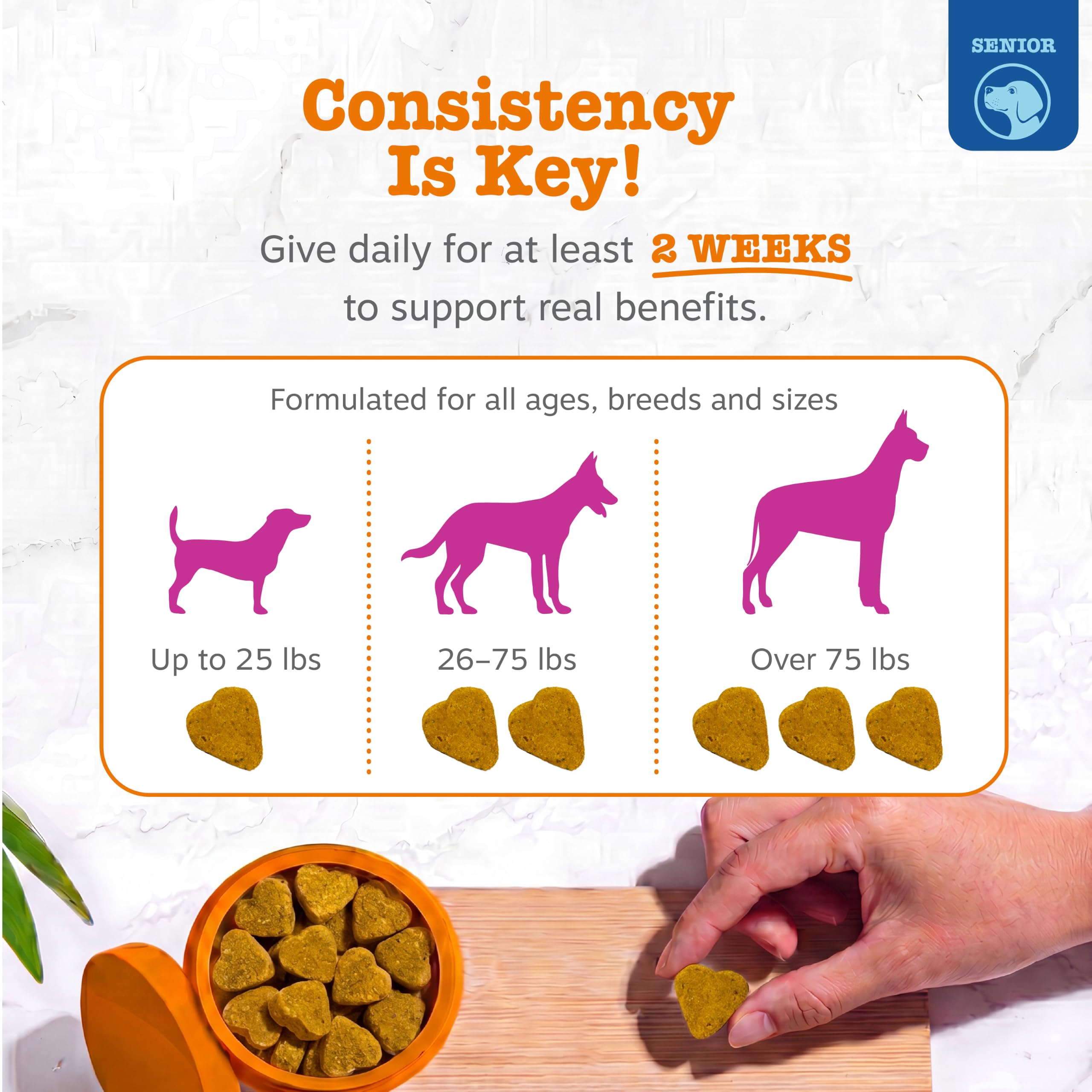 Zesty Paws mejillón de Nueva Zelanda detalle de ingrediente para soporte articular