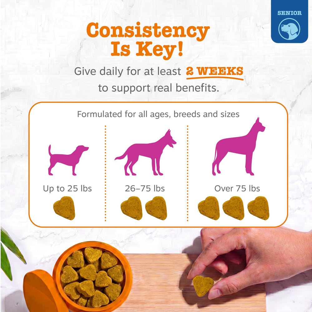 Zesty Paws mejillón de Nueva Zelanda detalle de ingrediente para soporte articular