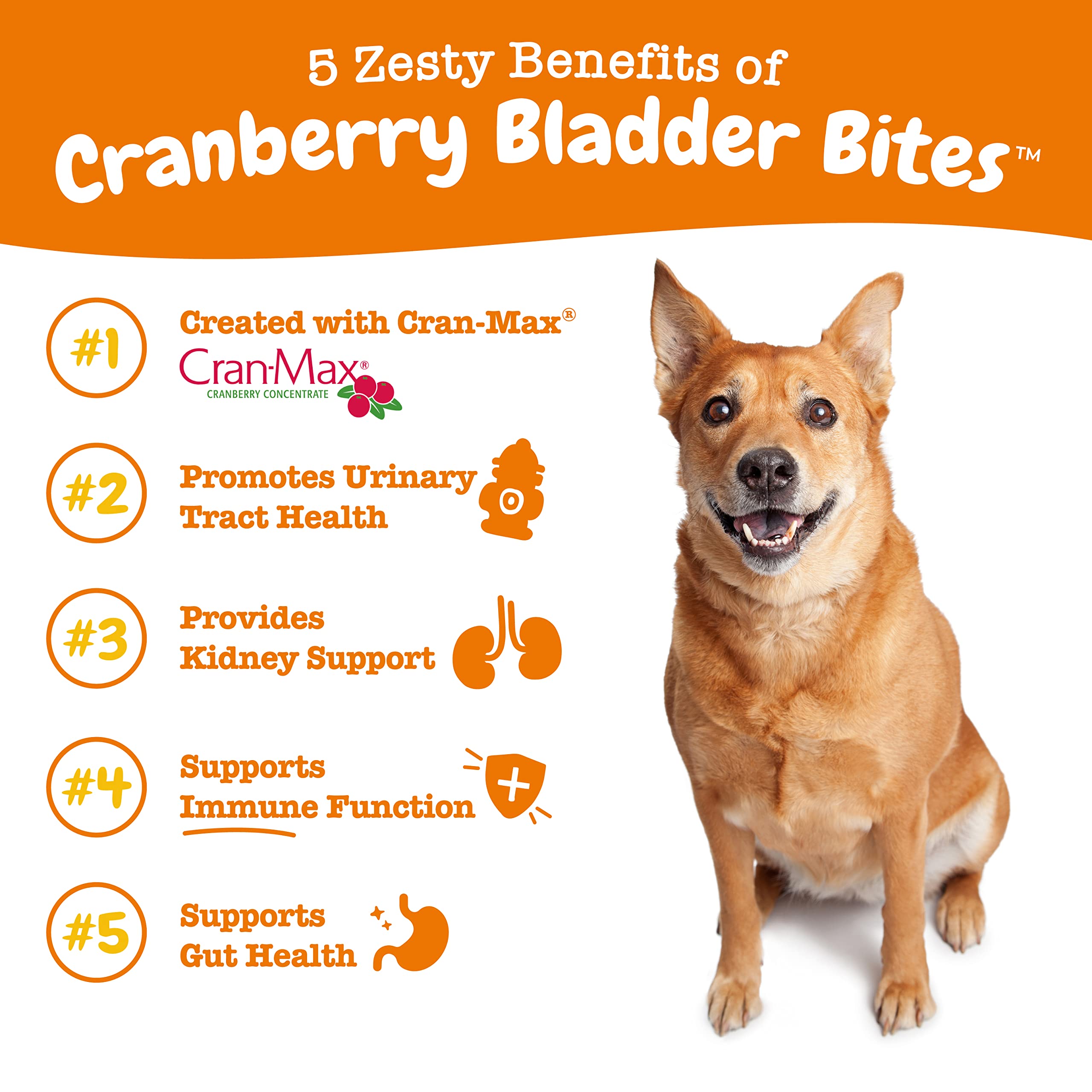 Zesty Paws mordisco en primer plano con textura visible y atractivo para perros