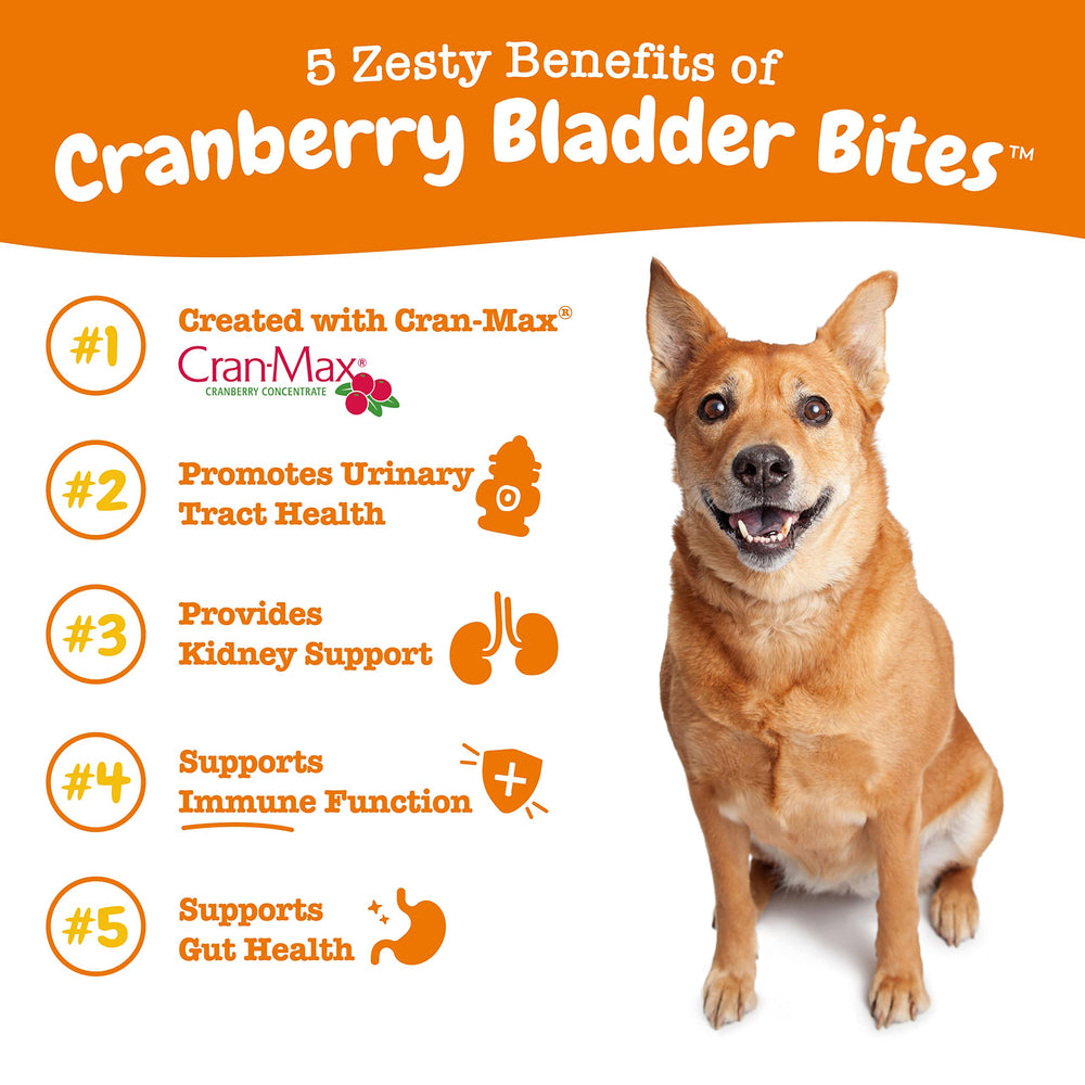 Zesty Paws mordisco en primer plano con textura visible y atractivo para perros
