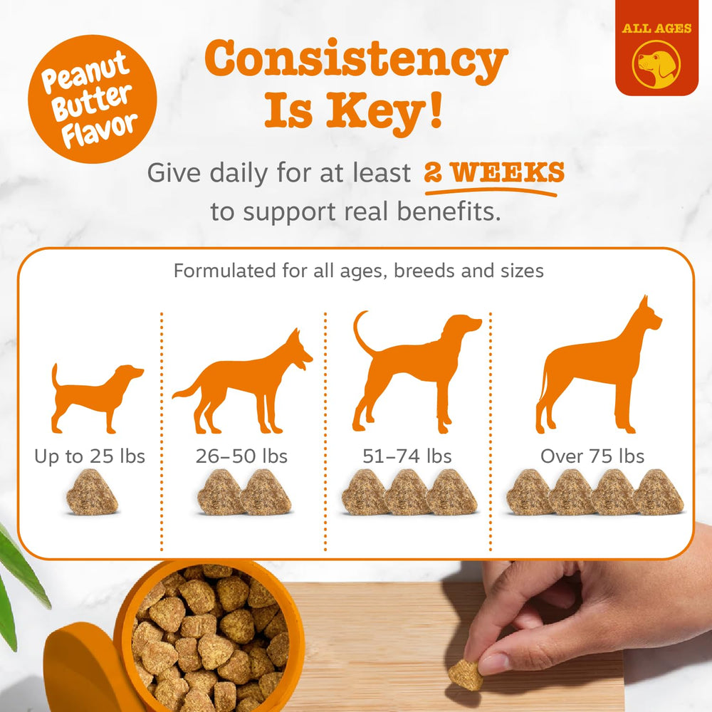 Zesty Paws representación de probióticos apoyando digestión