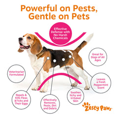 Zesty Paws espuma del champú mostrando textura suave y efecto limpiador