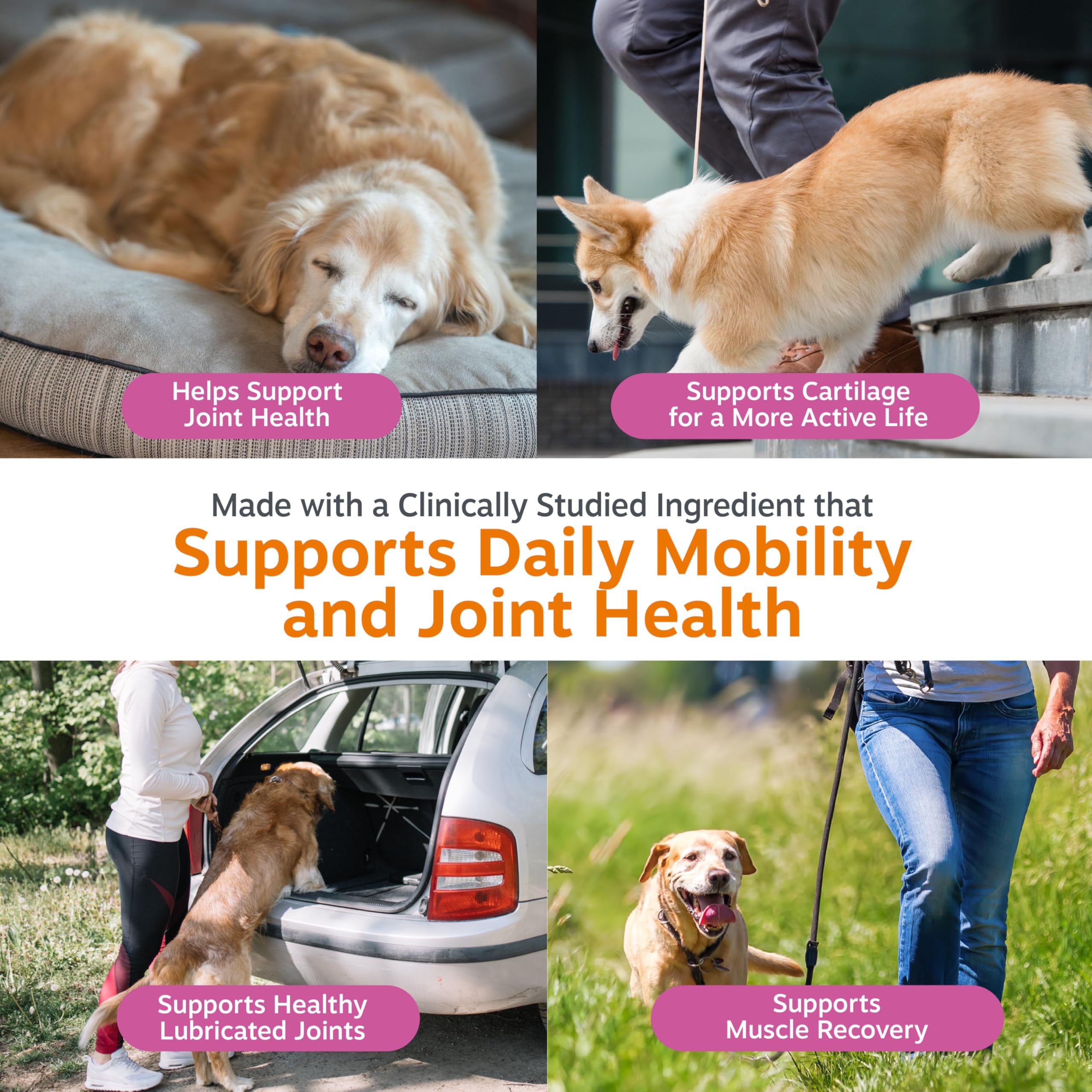 Zesty Paws masticable en mano para apreciar el tamaño y dosificación