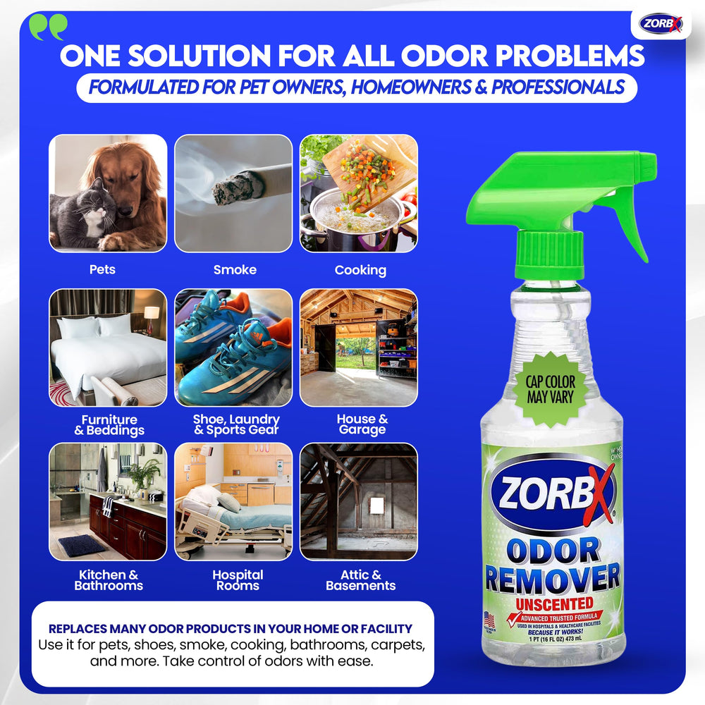 ZORBX aplicación en alfombra eliminando olor y restaurando frescura
