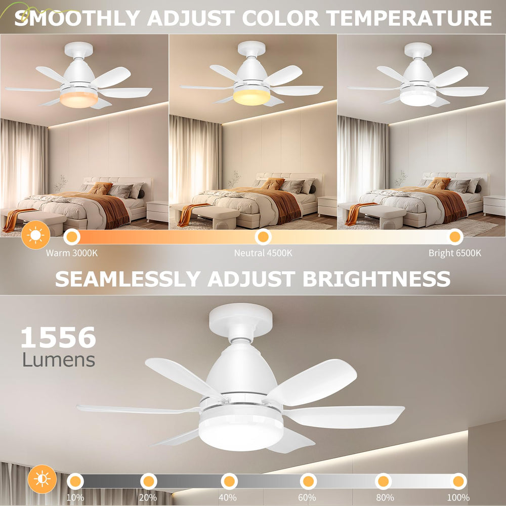 Zyxrona control remoto en mano para ajustar luz, velocidad y temporizador