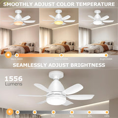 Zyxrona control remoto en mano para ajustar luz, velocidad y temporizador